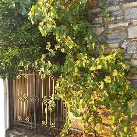 το πέτρινο αρχοντικό *